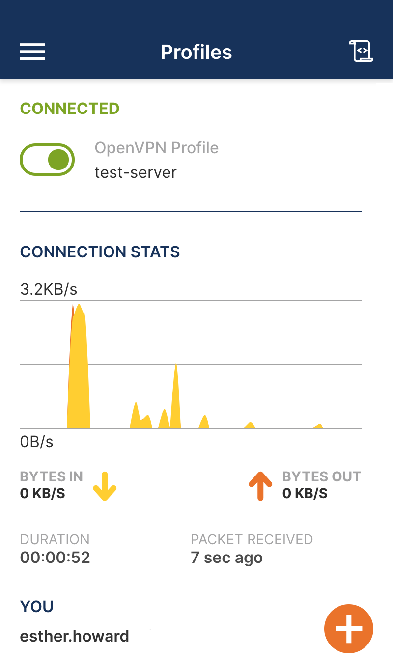 OpenVPN Connect Screen Shot